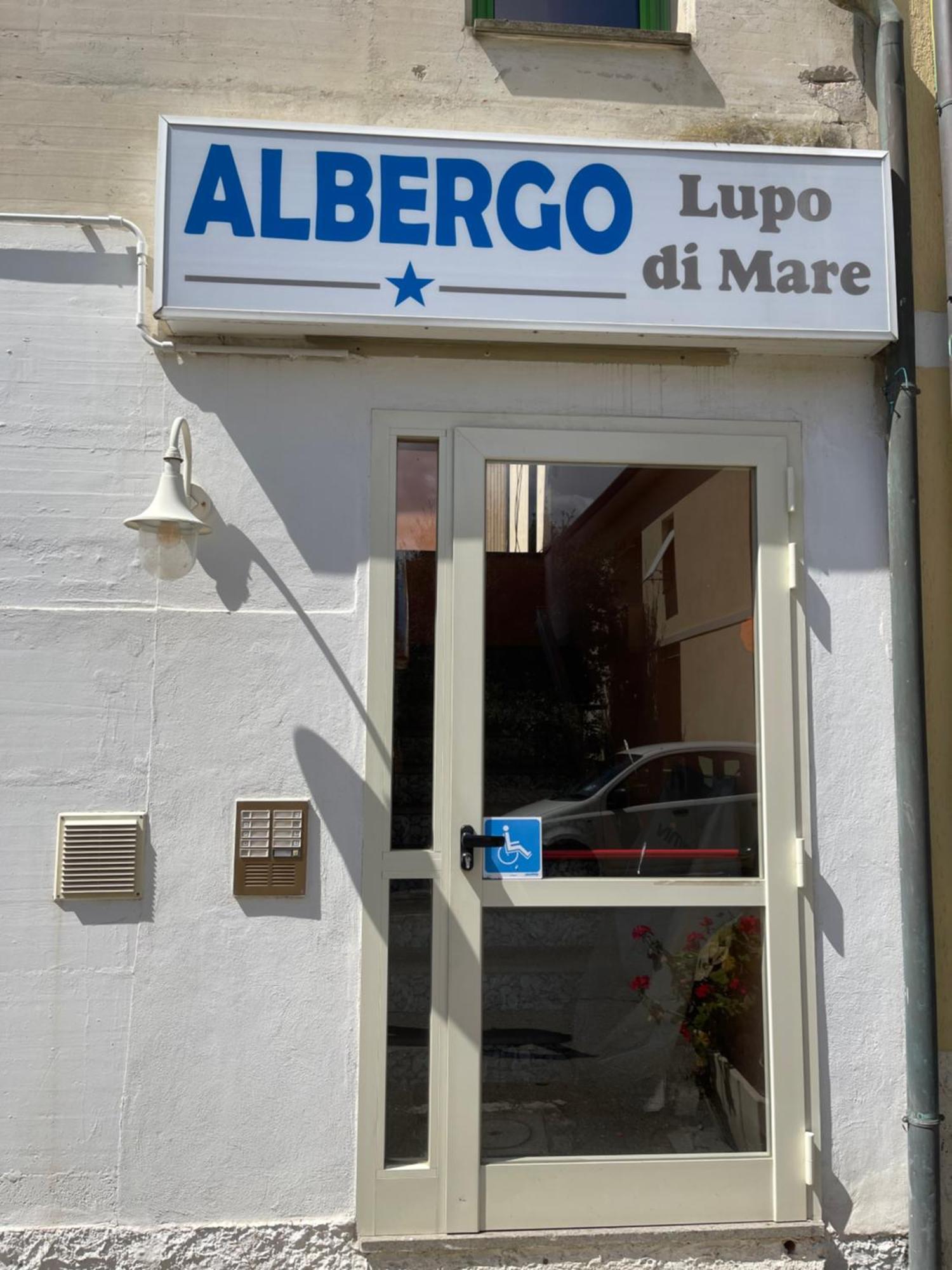 Hotel Lupo Di Mare Marina di Castagneto Carducci Exteriér fotografie